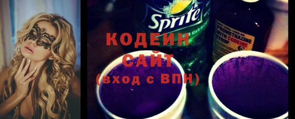 ешки Корсаков