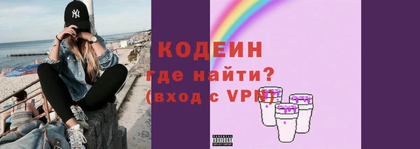 ешки Корсаков